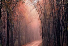 中欧体育官网:西甲综合:皇马逆转比利亚雷亚尔暂登榜首.