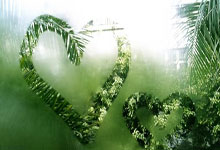 中欧体育官网:TyC记者:洛塞尔索因未及时康复无缘阿根廷队本期最终名单.